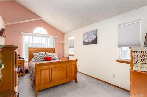 3702 E 99th Pl, Thornton, CO 80229 photo 12