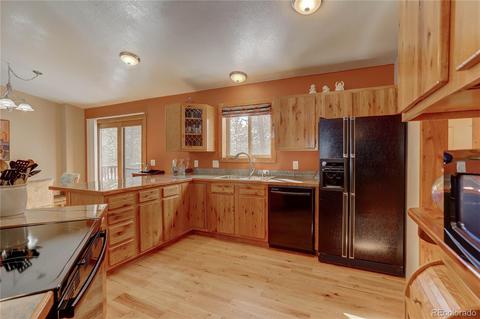 56 Marys Ln, Bailey, CO 80421 photo 20