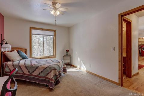 56 Marys Ln, Bailey, CO 80421 photo 24