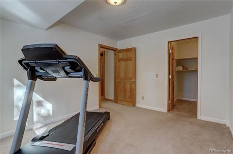56 Marys Ln, Bailey, CO 80421 photo 32