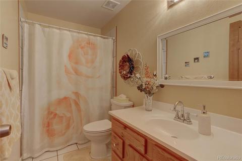 56 Marys Ln, Bailey, CO 80421 photo 22
