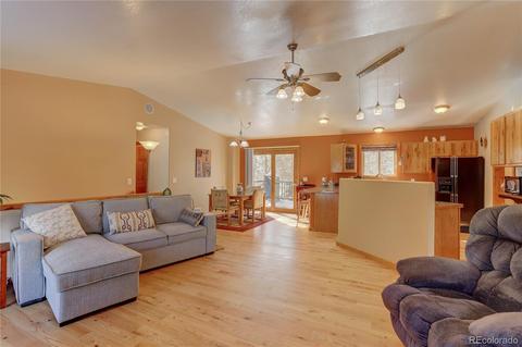 56 Marys Ln, Bailey, CO 80421 photo 11