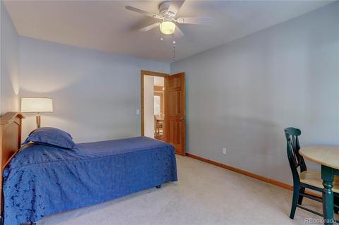 56 Marys Ln, Bailey, CO 80421 photo 29