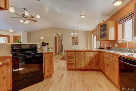 56 Marys Ln, Bailey, CO 80421 photo 19