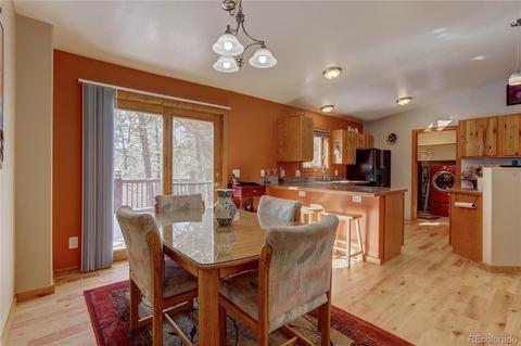 56 Marys Ln, Bailey, CO 80421 photo 16