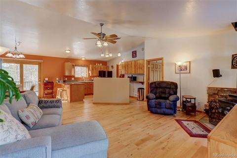 56 Marys Ln, Bailey, CO 80421 photo 13