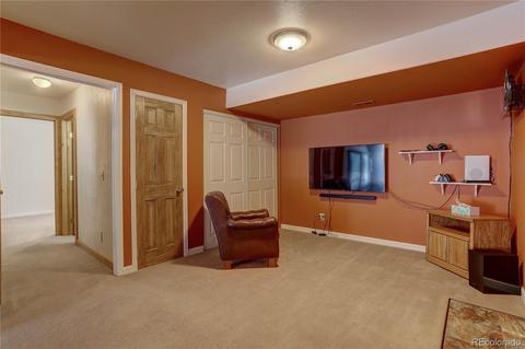 56 Marys Ln, Bailey, CO 80421 photo 31