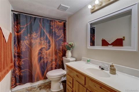 56 Marys Ln, Bailey, CO 80421 photo 23