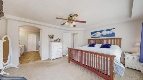 8444 Braun Loop, Arvada, CO 80005 photo 19