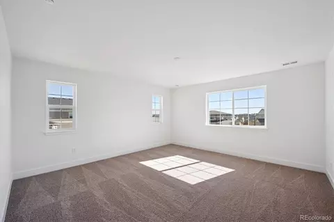 7096 E 126th Pl, Thornton, CO 80602 photo 19