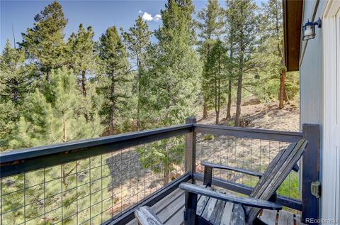 13183 S Omaha St, Pine, CO 80470 photo 19