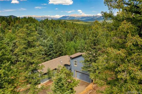 13183 S Omaha St, Pine, CO 80470 photo 37