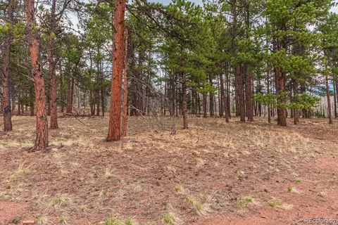 1290 Firestone Dr, Woodland Park, CO 80863