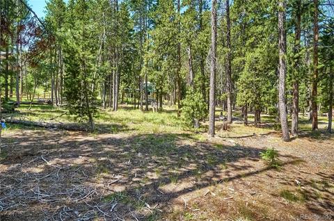 10978 Schweigert Ave, Conifer, CO 80433 photo 18