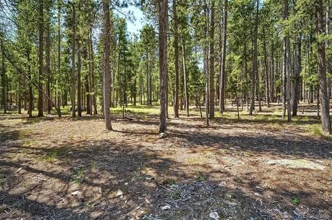 10978 Schweigert Ave, Conifer, CO 80433 photo 17