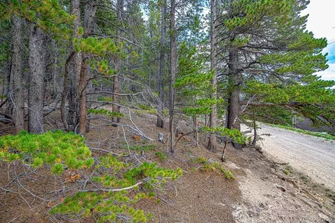 lot836 Nebraska Dr, Idaho Springs, CO 80452