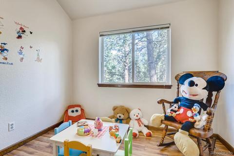 120 Bandit Peak Rd, Bailey, CO 80421 photo 14