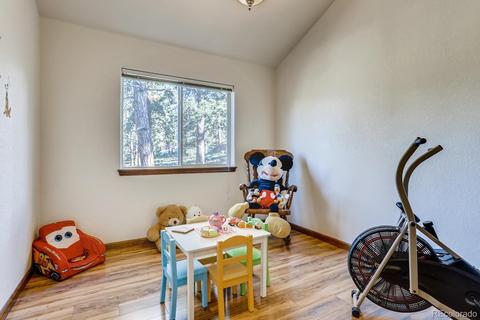 120 Bandit Peak Rd, Bailey, CO 80421 photo 13