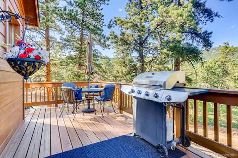 120 Bandit Peak Rd, Bailey, CO 80421 photo 23