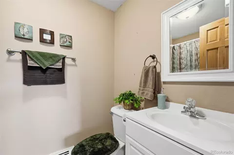610 Gold Flake Ter, Bailey, CO 80421 photo 25