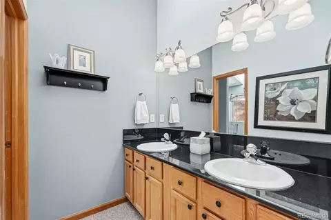 610 Gold Flake Ter, Bailey, CO 80421 photo 17