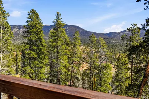 610 Gold Flake Ter, Bailey, CO 80421 photo 30