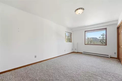 610 Gold Flake Ter, Bailey, CO 80421 photo 28