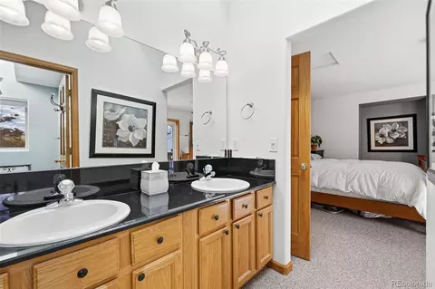 610 Gold Flake Ter, Bailey, CO 80421 photo 19