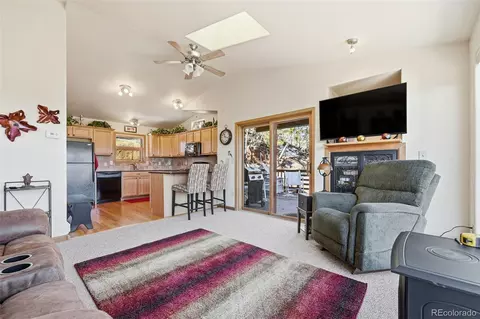 610 Gold Flake Ter, Bailey, CO 80421 photo 7