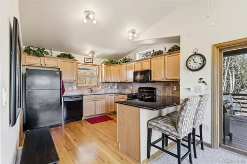 610 Gold Flake Ter, Bailey, CO 80421 photo 9