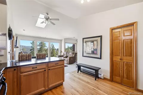 610 Gold Flake Ter, Bailey, CO 80421 photo 12