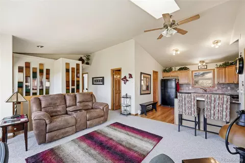 610 Gold Flake Ter, Bailey, CO 80421 photo 8