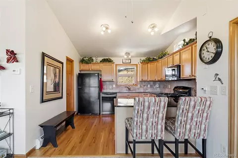 610 Gold Flake Ter, Bailey, CO 80421 photo 10