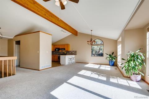 451 Doe Cir, Bailey, CO 80421 photo 10