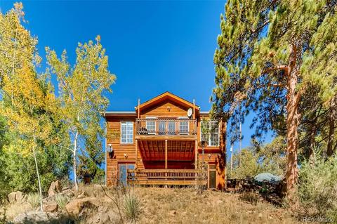 451 Doe Cir, Bailey, CO 80421 photo 26