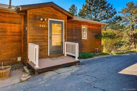 451 Doe Cir, Bailey, CO 80421 photo 27