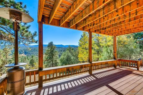 451 Doe Cir, Bailey, CO 80421 photo 23