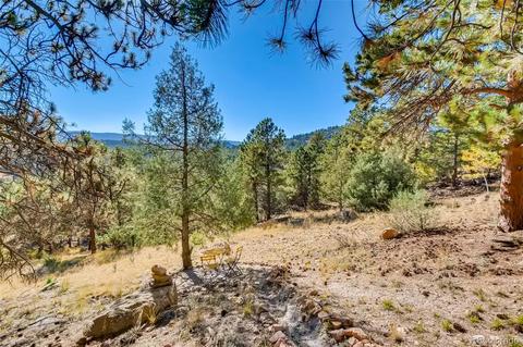 451 Doe Cir, Bailey, CO 80421 photo 24