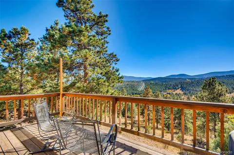 451 Doe Cir, Bailey, CO 80421 photo 22