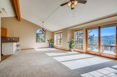 451 Doe Cir, Bailey, CO 80421 photo 8