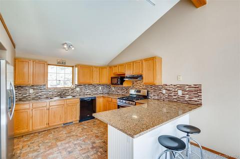 451 Doe Cir, Bailey, CO 80421 photo 3