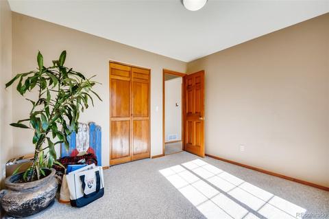 451 Doe Cir, Bailey, CO 80421 photo 16