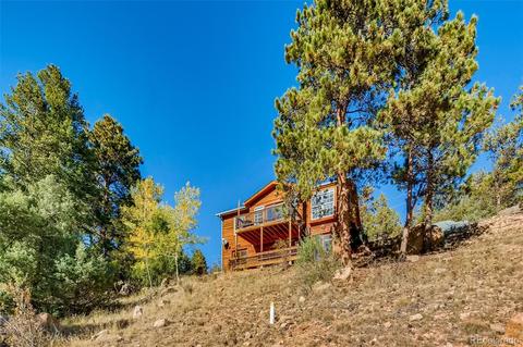451 Doe Cir, Bailey, CO 80421 photo 25