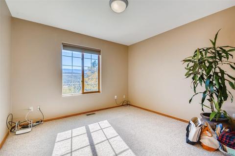 451 Doe Cir, Bailey, CO 80421 photo 15