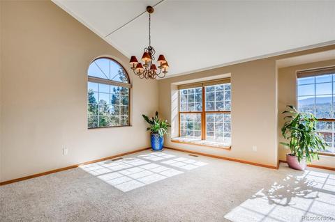 451 Doe Cir, Bailey, CO 80421 photo 11