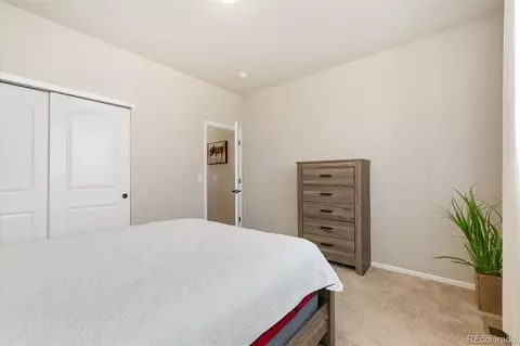 1841 Twilight Glow Dr, Windsor, CO 80550 photo 21