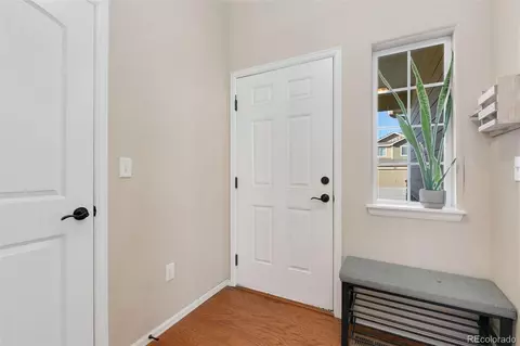 1841 Twilight Glow Dr, Windsor, CO 80550 photo 4