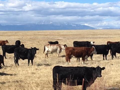 7750 Peyton Hwy, Peyton, CO 80831 photo 3