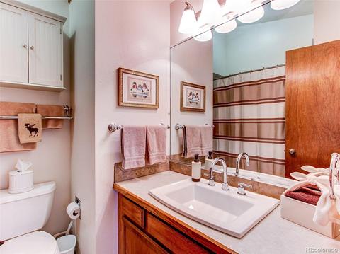 925 E 132nd Cir, Thornton, CO 80241 photo 24