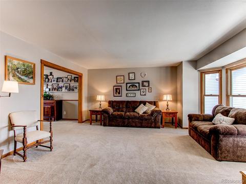 925 E 132nd Cir, Thornton, CO 80241 photo 4